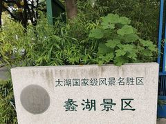 -无锡蠡湖国家湿地公园-蠡园