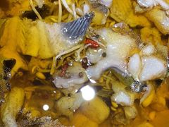 -雲蜀龙阁·金牌水煮鱼(方庄店)