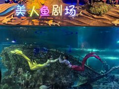-太奥幻太奇海洋馆