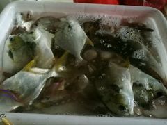 -北海金海湾红树林生态旅游区