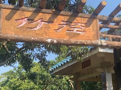 -大屏嶂森林公园