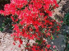 -天台山赤城山景区