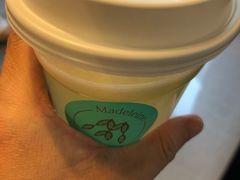-Madeleine玛德琳(永平里店)