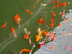 -重元寺香积厨素斋馆