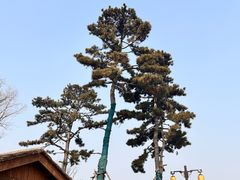 -中国西峡恐龙遗迹园