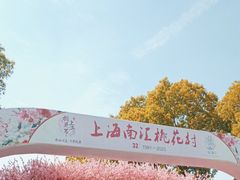 -南汇桃花村