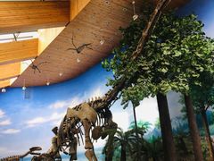 -延庆地质公园博物馆