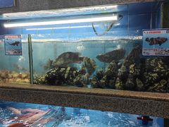 -达叔香味海鲜(海棠68环球美食街店)