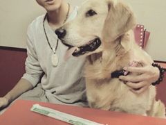 android_upload_pic-美联众合动物医院·24h京西诊疗中心