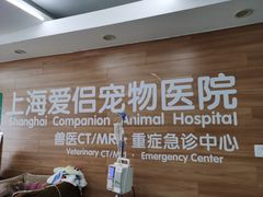 -爱侣宠医·鹦鹉专科·小型哺乳类·异宠专科(灵石路店)
