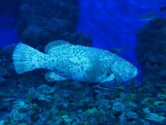 -成都浩海立方海洋公园