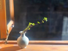 -YLK云南小粒咖啡·云里咖(二号店)