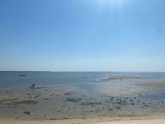 -北海金海湾红树林生态旅游区