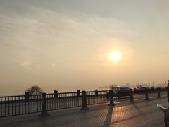 -合肥滨湖国家森林公园