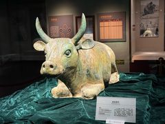-宁夏博物馆