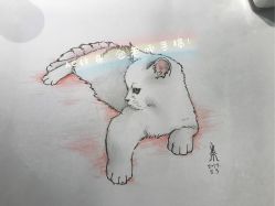 点击看大图 -AC TATTOO 纹身