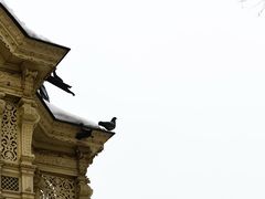 -磨坊温泉长廊