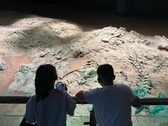 -世界恐龙谷景区