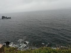 -涉地可支