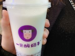 -一只酸奶牛(八一路店)