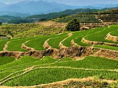 -牙胡梯田景区