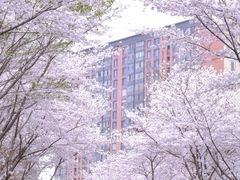 -南京明基医院
