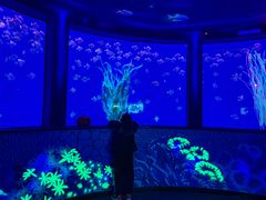 -沈阳海洋探索中心