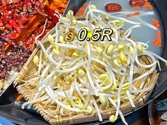 -阳阳老火锅(小南门店)