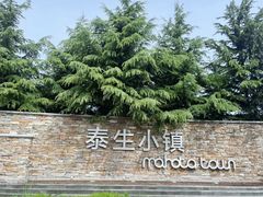 -泰生小镇旅游景区