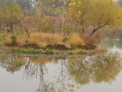 -东郊湿地公园