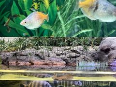 -上海海洋水族馆