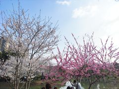 -堤角公园