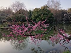 -杭州植物园