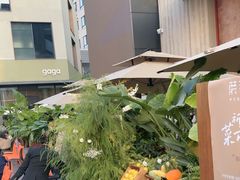 -蘑界·野生菌火锅(深业上城店)