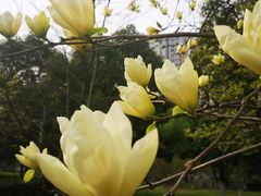 -白塘生态植物园