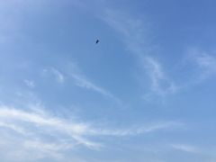 -南京金牛湖风景区