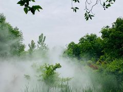 -江苏三台山国家森林公园
