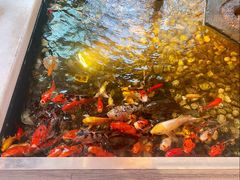 -衡山汇·高级粤菜(霄云路店)