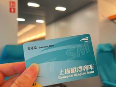 -龙阳路磁悬浮列车总站-停车场