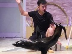 -运城海洋馆