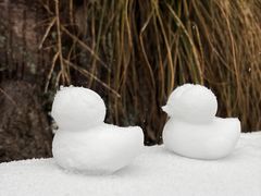 -东天目山风景区