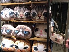 -猫咪博物馆(顶澳仔猫街店)