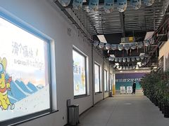 -蓟洲国际滑雪场
