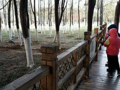 -艾溪湖湿地公园