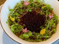 -上海总会SHANGHAICLUB(兴业太古汇店)