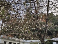 -广东温泉宾馆