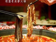 -蜀大侠火锅(森兰花园城店)