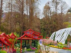 -广州市白云山风景名胜区