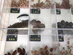 -郑州植物园