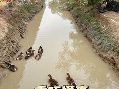 -尚果生态采摘园